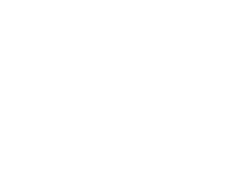 Rama Estudiantil IEEE-PUC (Pontificia Universidad Católica de Chile)